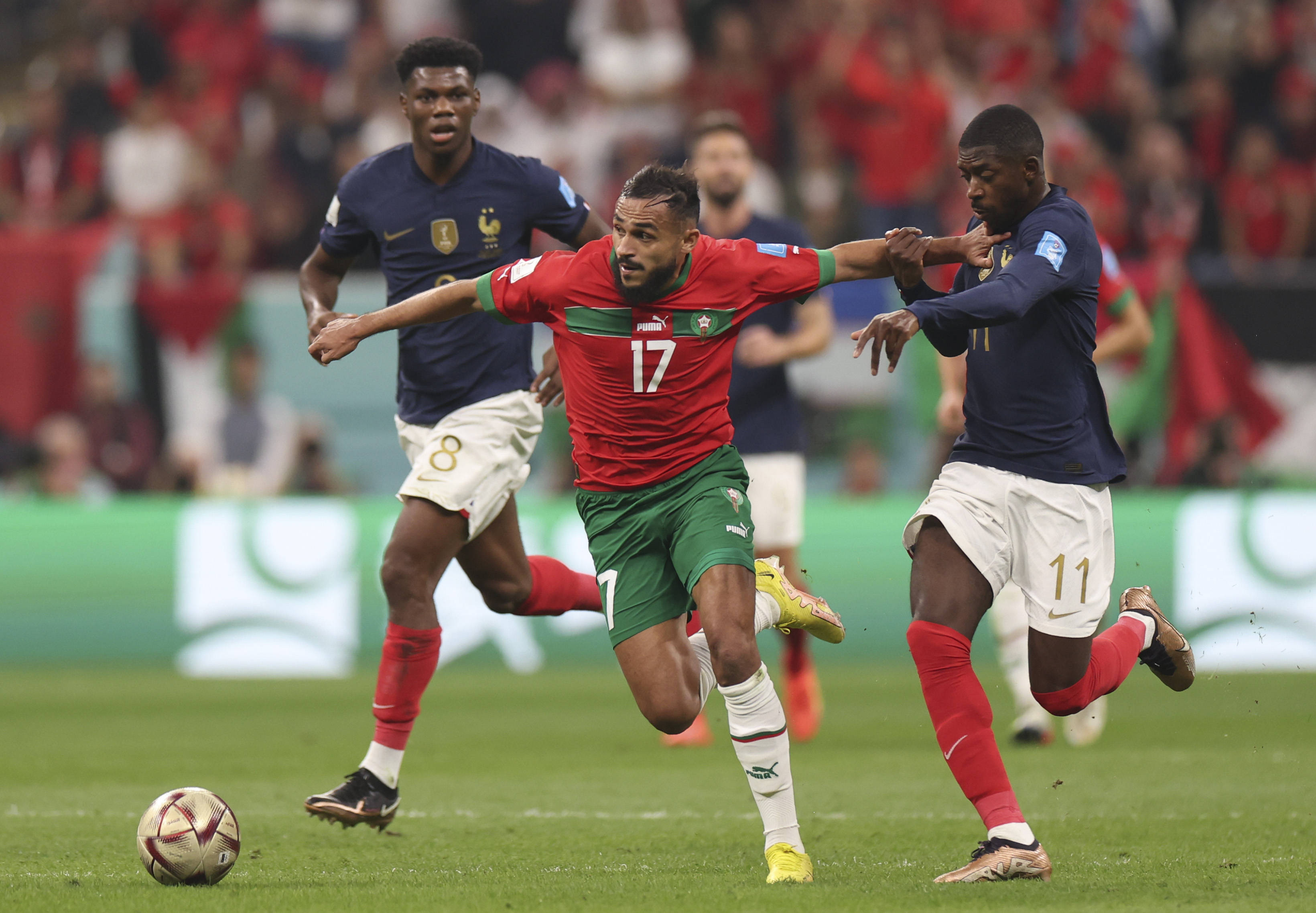 顯示出年輕 顯示出年輕