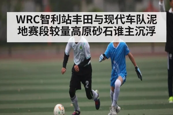 WRC智利站丰田与现代车队泥地赛段较量高原砂石谁主沉浮